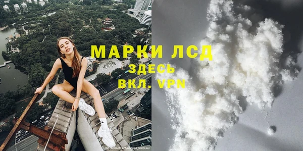 ECSTASY Алзамай