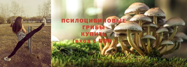ECSTASY Алзамай