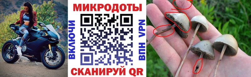 Псилоцибиновые грибы мухоморы  Родники 